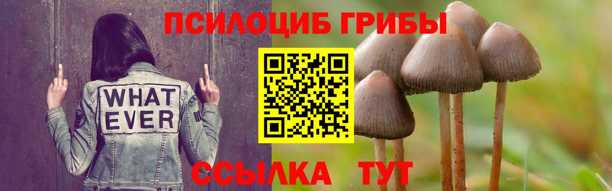 Псилоцибиновые грибы прущие грибы Глазов